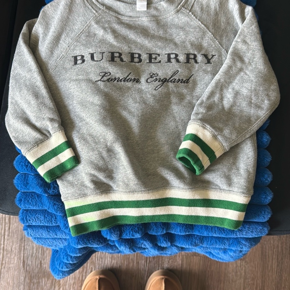 Burberry Gray Sweatshirt with Green Stripes